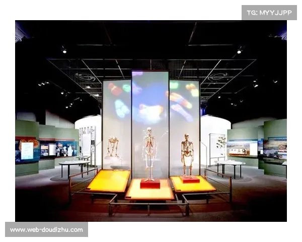 拜仁博物馆扩建完工，历史沉浸体验全新上线